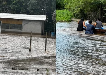 Enquanto nível do Taquari baixa na cidade, cheia isola 35 famílias no Pantanal de Coxim