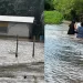 Enquanto nível do Taquari baixa na cidade, cheia isola 35 famílias no Pantanal de Coxim