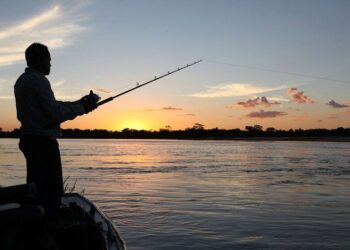 Alerta Vermelho na Pesca: Falta de relatório anual bloqueará licença automaticamente em 7 de abril