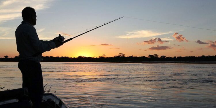 Alerta Vermelho na Pesca: Falta de relatório anual bloqueará licença automaticamente em 7 de abril