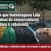 Do Palanque ao Rebaixamento: Escola que politizou desfile sofre rejeição e cai de grupo
