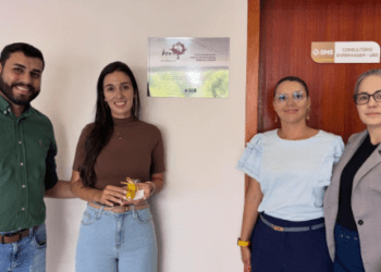 Maternidade Segura: Alcinópolis promove encontro para fortalecer o pré-natal e o Projeto Bem Nascer
