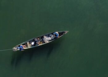 Governo cancela 76 mil carteirinhas de pescadores; quem perdeu fica sem Seguro-Defeso