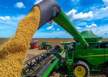 Gigante do Agro: MS é o 5º maior produtor de grãos do Brasil em safra recorde de soja