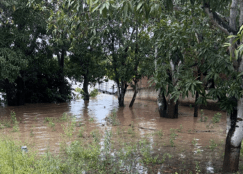 Defesa Civil de Mato Grosso do Sul se mobiliza após municípios serem afetados por chuvas intensas