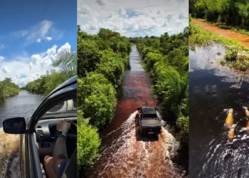 VÍDEO: Rio Salobra transborda e cheia dá verdadeiro espetáculo no Pantanal de Miranda