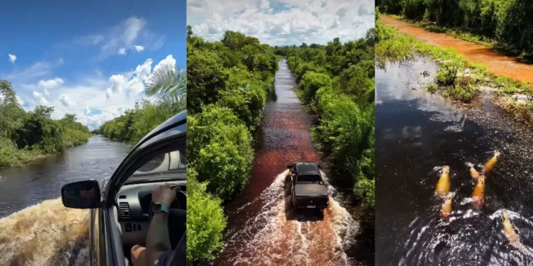 VÍDEO: Rio Salobra transborda e cheia dá verdadeiro espetáculo no Pantanal de Miranda