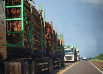 Rota da Celulose: concessão garante segurança viária e inovações a Mato Grosso do Sul