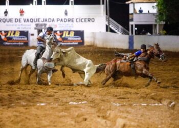 Costa Rica faz história: Município recebe a 1ª Vaquejada de Mato Grosso do Sul