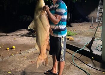 Gigante do Taquari: Servidor público fisga Jaú de 43 kg em Coxim