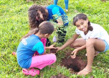 Projeto Revita Garimpinho: Camapuã une educação e reflorestamento com as novas gerações
