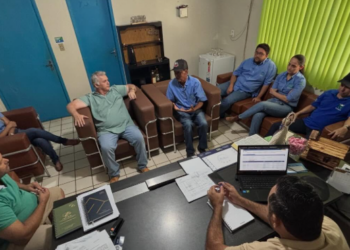 Novo Horizonte Econômico: Alcinópolis discute implantação de abatedouro de aves