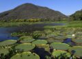 Mato Grosso do Sul é o único estado a implementar todos os instrumentos da governança climática