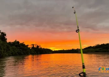 Com fim da Piracema, veja as regras para voltar a pescar nos rios de MS