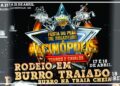 Cultura Pantaneira: Rodeio em Burro Traiado é atração confirmada na 24ª Festa do Peão de Alcinópolis