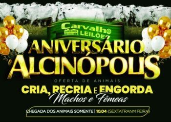 Oportunidade para Pecuaristas: Leilão de Aniversário de Alcinópolis oferta gado para cria, recria e engorda
