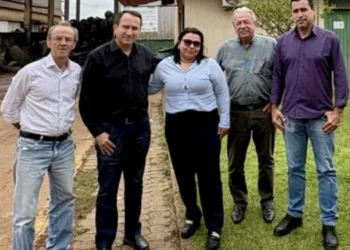 Guerra contra o Aedes aegypti: Prefeitura firma parceria com Eco Pneus para descarte de pneus inservíveis