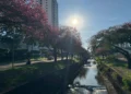 Calor retorna ao estado nesta quarta-feira, mas instabilidade mantém alerta para tempestades