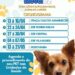 Controle Populacional: Costa Rica divulga cronograma do Castramóvel para abril e maio