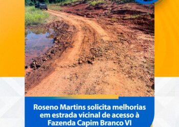 Logística Rural: Vereador Roseno Martins cobra segurança na MS-316 e fim de alagamentos na Capim Branco VI