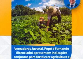 Saúde e Campo: Vereadores articulam R$ 1 milhão para cirurgias e novo caminhão para a agricultura