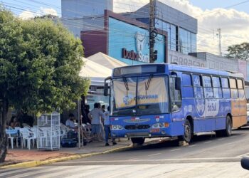 Saúde Animal e Controle Populacional: Caravana da Castração atende 371 fêmeas em ação histórica no município