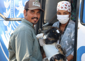 Causa Animal: Caravana da Castração inicia atendimentos gratuitos e reforça saúde pública no município