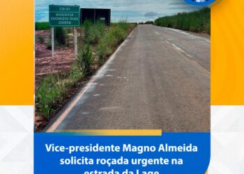 Segurança Viária: Câmara solicita roçada urgente nas margens da rodovia CR-01