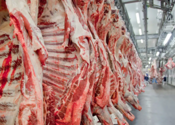 Geopolítica da Carne: China reabilita frigoríficos dos EUA, mas competitividade brasileira segue imbatível no curto prazo
