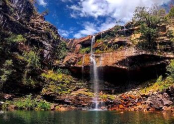 Onça ataca criança de 8 anos na Chapada dos Veadeiros, em Goiás
