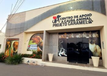 Proteção e Saúde: Inaugurado o Centro de Apoio à Causa Animal “Projeto Caramelo” nos 46 anos do município