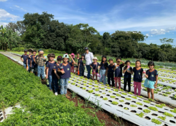 Educação e Campo: Projeto “A Terra que nos Alimenta” leva mais de 800 alunos ao Cinturão Verde