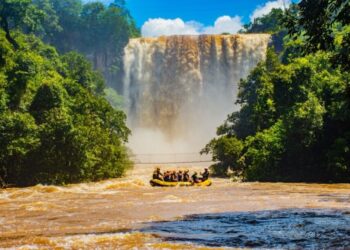 MS reabre licitação para ‘bondinho’ em parque natural do interior