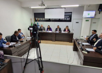 Avanço Legislativo: Câmara aprova Política Municipal de Meio Ambiente e reorganização do Conselho do Idoso