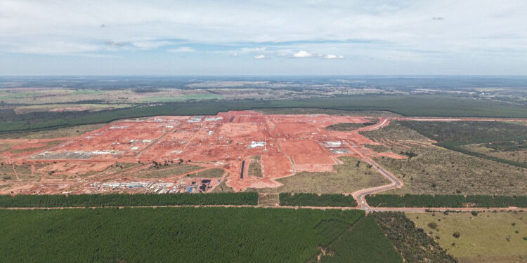 Arauco avança na construção de megafábrica de celulose no MS e prevê operação plena em 2028
