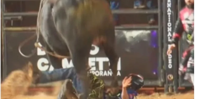 Peão morre após ser pisoteado por touro durante rodeio em Votuporanga