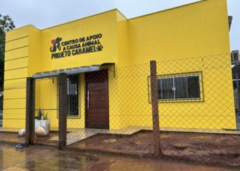 Causa Animal: Projeto Caramelo atinge a marca de 58 consultas e 18 adoções em menos de dois meses de operação em Costa Rica