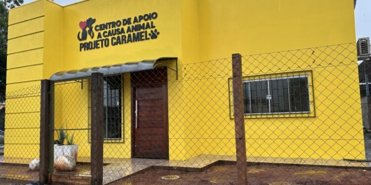Causa Animal: Projeto Caramelo atinge a marca de 58 consultas e 18 adoções em menos de dois meses de operação em Costa Rica
