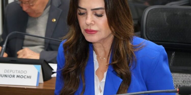 BR-060: Mara Caseiro solicita implantação de redutores de velocidade em Paraíso das Águas