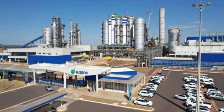 Suzano abre vagas de emprego e programa trainee em Ribas do Rio Pardo, Três Lagoas, Bataguassu e Água Clara