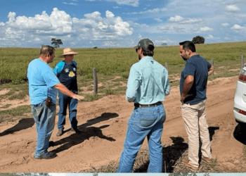 Infraestrutura no Campo: Prefeito Weliton Guimarães vistoria estradas rurais e acompanha obras de nova ponte para o escoamento agrícola