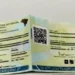 Cidadania Digital: Posto de Identificação de Alcinópolis orienta moradores sobre regras e documentos para emitir a nova CIN