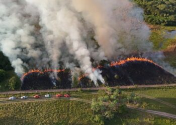 Imasul e Corpo de Bombeiros reforçam prevenção a incêndios com manejo integrado do fogo no Pantanal