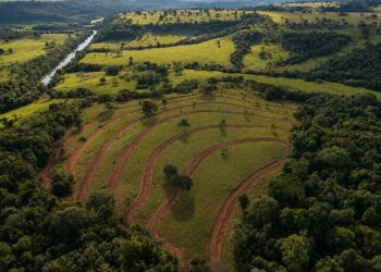 Prefeitura recupera área degradada e reforça compromisso com a conservação ambiental em Paraíso das Águas