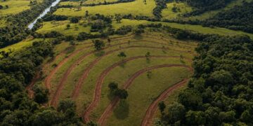 Prefeitura recupera área degradada e reforça compromisso com a conservação ambiental em Paraíso das Águas