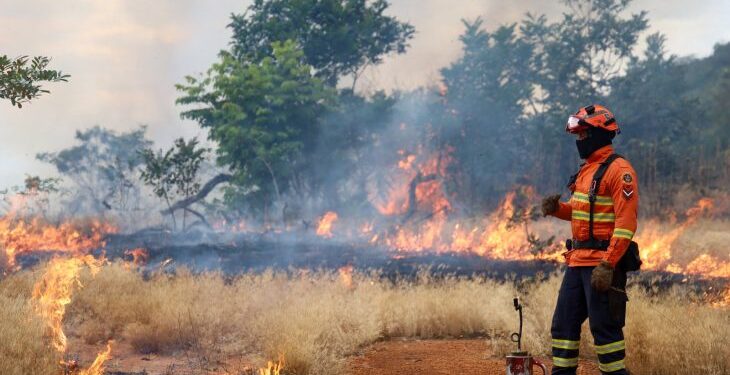 Bombeiros de MS se preparam para temporada de incêndios florestais com treinamentos e ações em campo