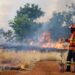 Bombeiros de MS se preparam para temporada de incêndios florestais com treinamentos e ações em campo