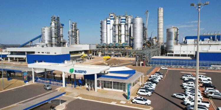 Suzano movimenta R$ 3,7 bilhões com fornecedores locais e impulsiona crescimento de empresas em Mato Grosso do Sul