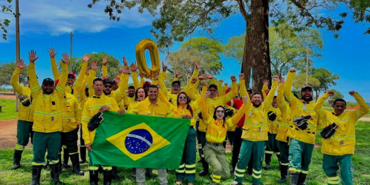 Dia de Proteção às Florestas: tecnologia e monitoramento ajudam Arauco a prevenir incêndios em Mato Grosso do Sul