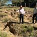 Infraestrutura Rural: Prefeitura intensifica recuperação de estradas na região do Jauru para garantir escoamento da safra